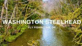 From Dreams to Reality (Fly Fishing for Steelhead)