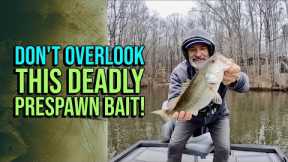 Don't Overlook This Deadly Pre Spawn Bait! #lakelanierfishing2024  #bassfishing