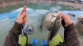 Surprise CRAPPIE Catch & Cook!! (Fly Fishing)
