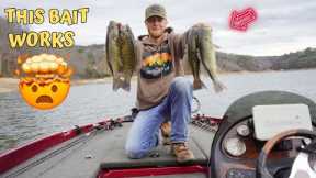 Smallmouth fishing on Norris Lake March 9, 2024.