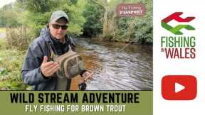 Wild Stream Adventure - FLY FISHING In the Brecon Beacons WALES for WILD BROWN TROUT