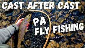 Fly Fishing for PA Trout (SPECIAL Regulations 2024)