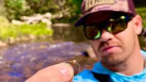 Autumn Fly Fishing in Alpine Victoria for Brown and Rainbow Trout
