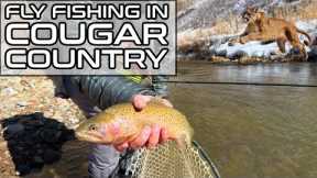 Fly Fishing in Cougar Country : Snowshoeing Adventure