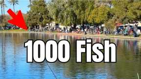 The Reality of Fishing a Trout Derby... (750lbs)