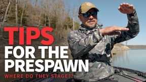 WHERE do they STAGE? (Pre-spawn Bass Fishing TIPS)