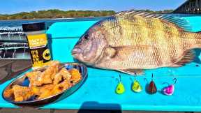 Making Fish Wings on the Boat! (Sheepshead Catch n’ Cook)