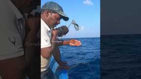 Catching Giant Trevally Fish in the Sea