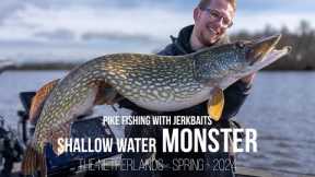 Monster caught in shallow water! - Lure fishing for GIANT northern pike