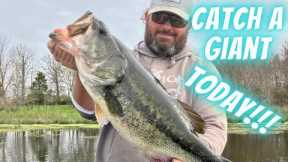 Lake Fork spring Bass fishing 2024: How to catch a giant today at the goat lake!!!