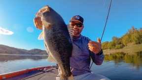 Spring Bass Fishing LIVE On Lake Berryessa! Raw Fishing Footage!