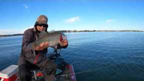 PRE - SPAWN Deep Water Slam, White Perch, Bass & Catfish Lake Murray