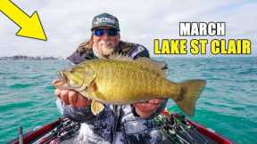 Springtime Smallmouth Fishing At Lake St. Clair: Must-have Lures For March!