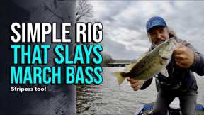 Simple Rig That Slays March Bass! #lakelanierfishing2024 #bassfishing