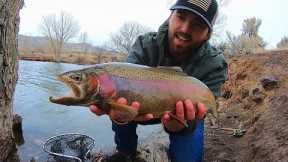 ABSURD Action for GIANT Rainbow Trout!!! (Fly Fishing)