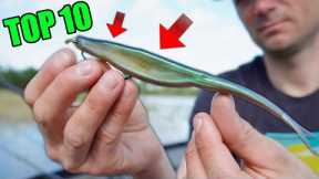 Top 10 Must Have Lures for Catching Fish in Florida Waters