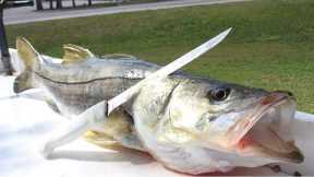 THE ONLY FISH THAT RESTAURANTS DON'T SELL YOU!! Catch Clean Cook Snook (BEST SNOOK RECIPE)