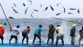 Full Video of How Fishermen Fishing Tuna Skill - Catching Hundreds of tons of Fish Big on The Sea