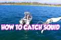 Beginners Guide  Squid Fishing Tips