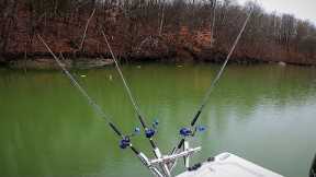 Striper Fishing Freshwater Basics, How to catch Stripers RIGHT NOW! Smith Mountain Lake