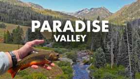 Unreal Creek Fishing in a Picture-Perfect Mountain Valley (Tenkara Fly Fishing)
