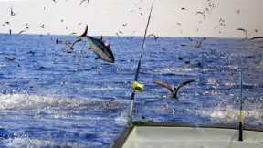 5 Tips To Limit Out On Yellowfin Tuna - Foolproof Tricks
