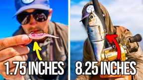 Tiny Lures vs Monster Lures (12 Hour Fishing Challenge)