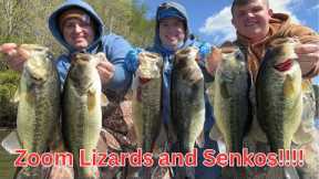 Lake Guntersville Bass Fishing Laydowns With Worms and Lizards