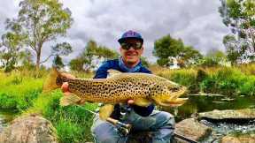 Fly Fishing for Big Brown Trout on South West Victorian Rivers