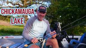 What's Happening On Lake Chickamauga |April 20,2024