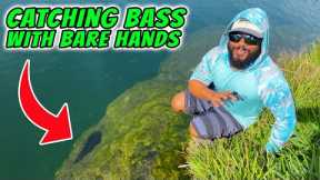 Catching Bass With Bare Hands!!!!!