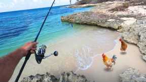 Shallow Water Reef Fishing & Chicken Catching on an Island!