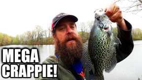 Can a Tiny Swimbait Catch BIG FISH? Best Crappie on Realistic Fishing!