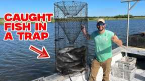Catching Fish in a Trap (CATCH AND COOK)