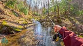 A REAL Day of Fly Fishing a Tiny Creek! || I Got Frustrated... (Fishing for Brook Trout)