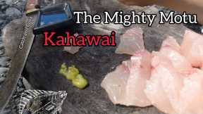 The Mighty Motu Kahawai Session [ Catch and Cook ]