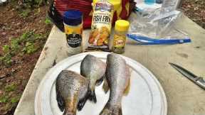FRESH FISH Next to the Water! Catch Clean Cook Bluegill!