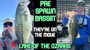 Early Spring Bass Fishing | Lake of the Ozarks