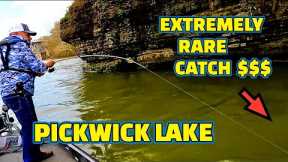 Extremely RARE FISH CATCHES fishing PICKWICK LAKE on the TENNESSEE RIVER !!