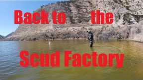 Fast action fly fishing at the Scud Factory.