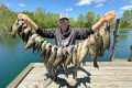 2,000 Fish out of 1 Lake (Crappie and 