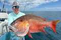 Monster Mutton Snapper (Catch Clean
