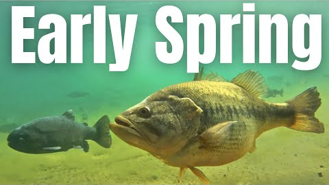 EARLY SPRING Bass Fishing COMPLETE GUIDE (How To Locate Prespawn Bass)