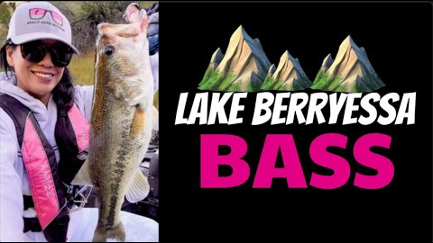 STACY FISHES LAKE BERRYESSA - Spring Bass Fishing on My Finicky Home Lake