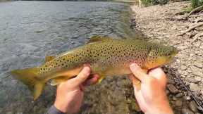 Fly Fishing Delaware's East Branch, DONT OVERLOOK THIS GREAT FISHERY!!