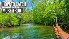 How to Catch More Trout! (Fly Fishing for Big Brown Trout)