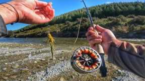 Big Streamer, Cicadas and Blow Flys Save the Day, Fly Fishing Challenge’s