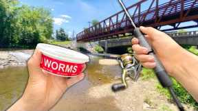 Eating Whatever I Catch.. Creek Fishing w/ WORMS (Catch and Cook)