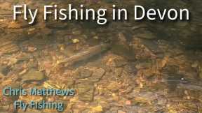 Challenging Trout (Fly Fishing the river Yeo)