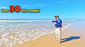 Catching & cooking the TASTIEST fish on the beach! Ultra-light tackle fun!